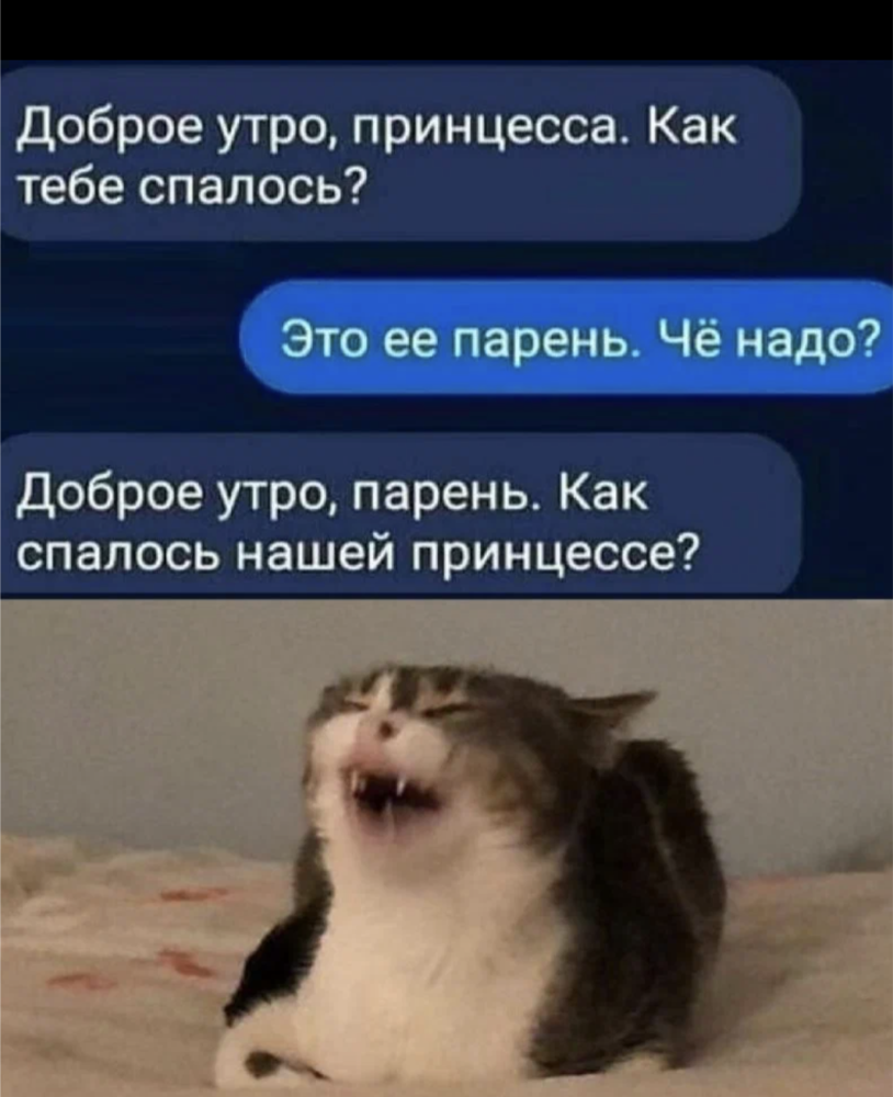 С добрым утром принцесса