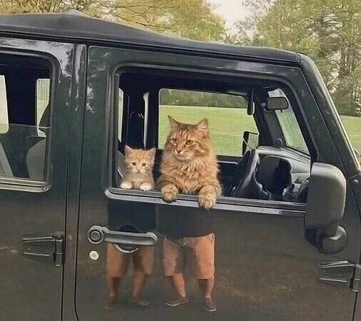 Картинка загружается...