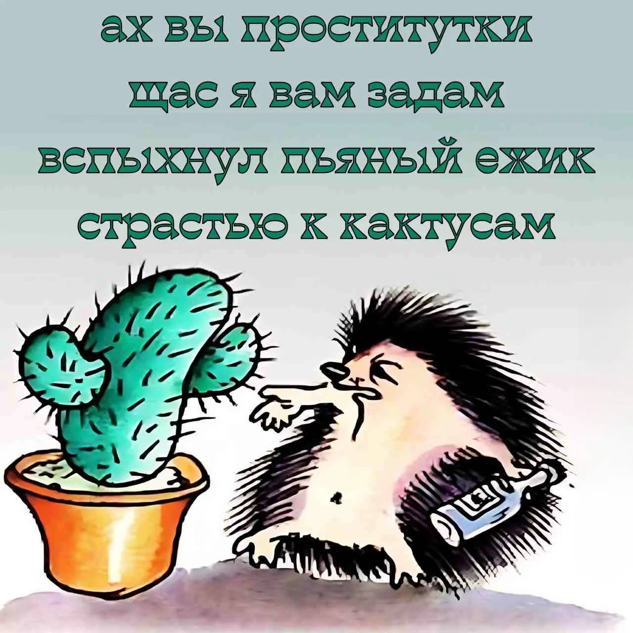 Картинка загружается...