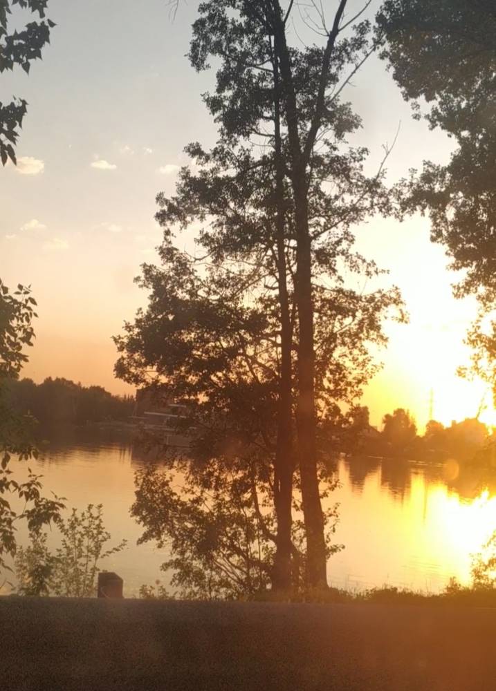 Картинка загружается...