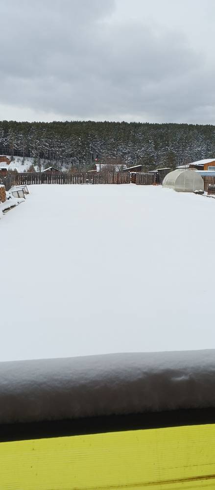 Картинка загружается...