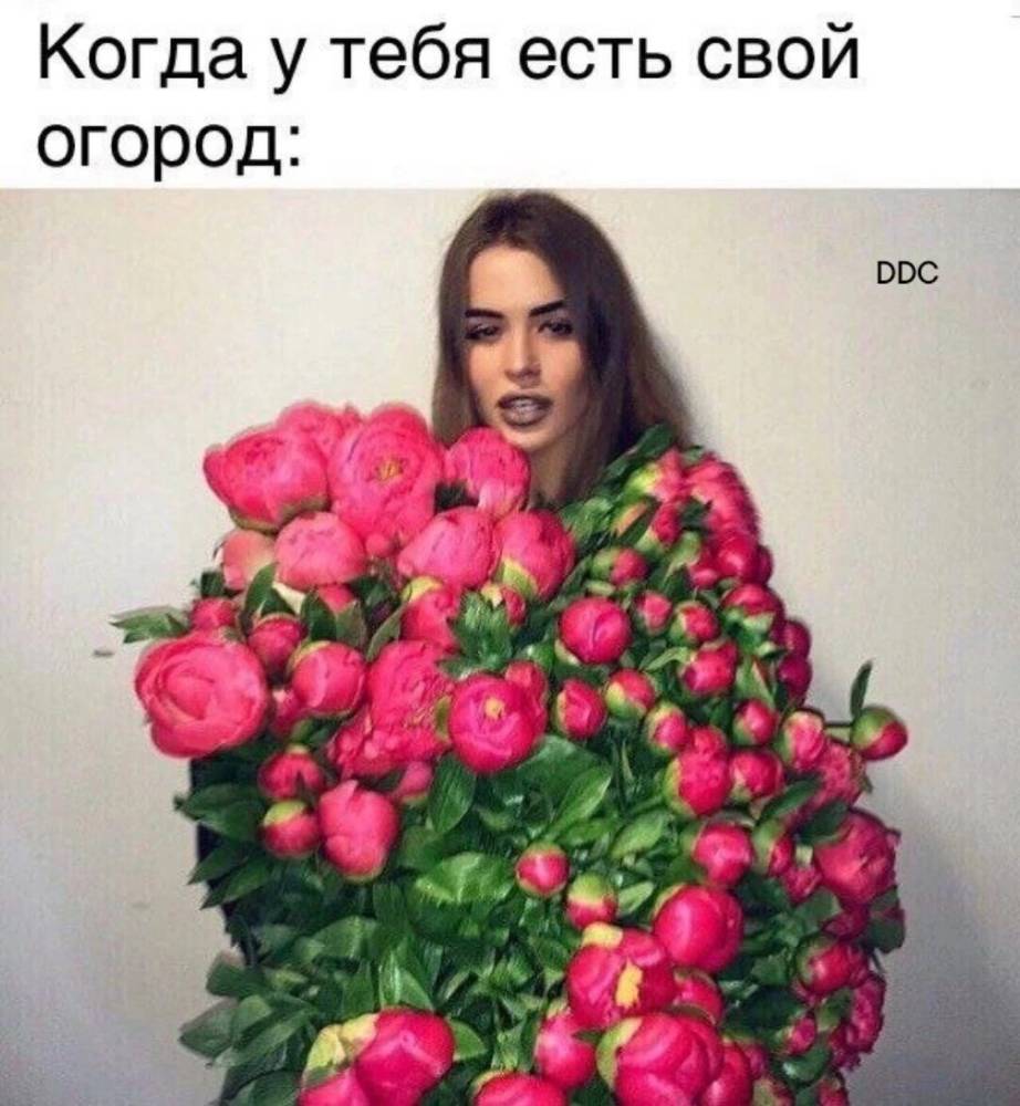 Картинка загружается...