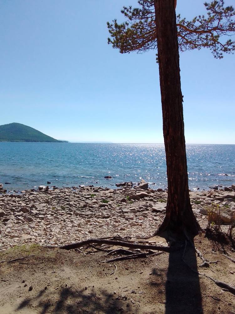 Картинка загружается...