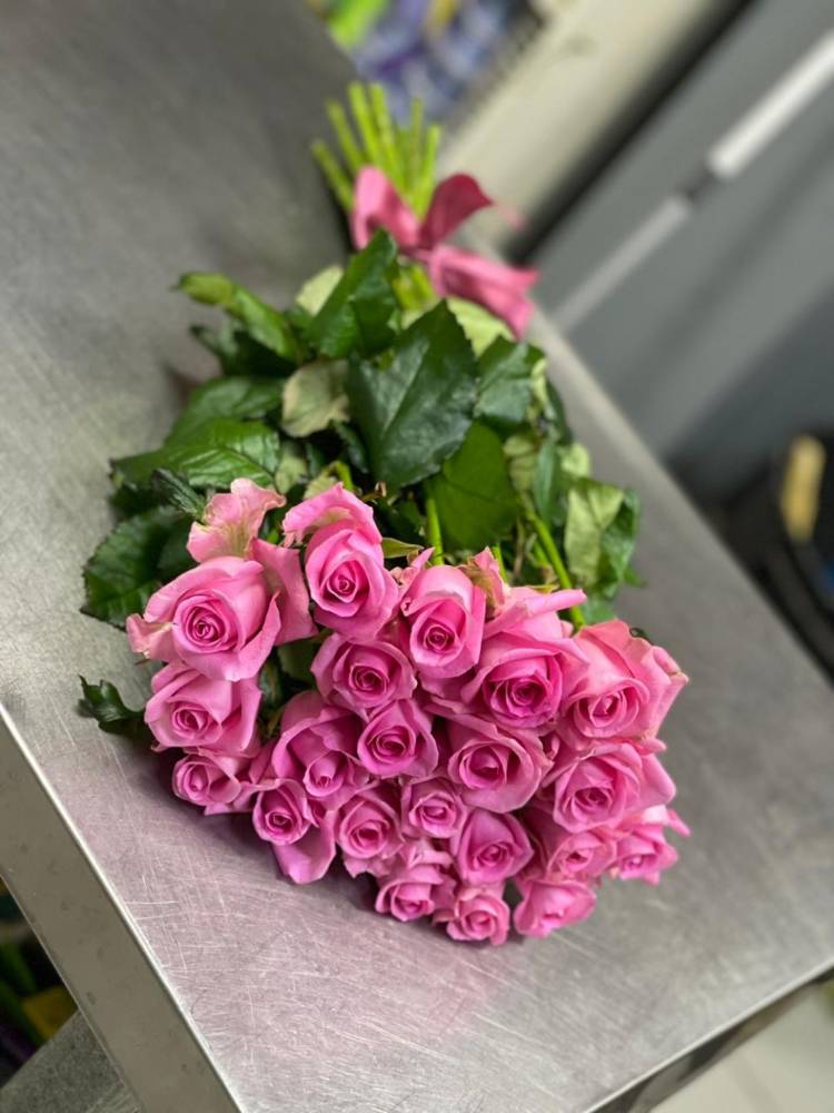 Картинка загружается...