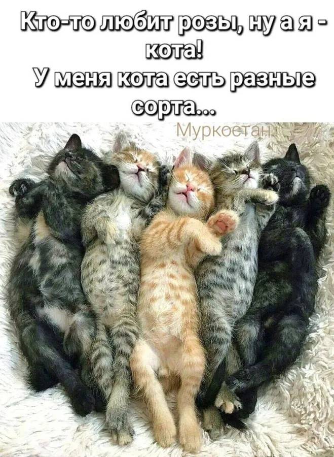 Картинка загружается...