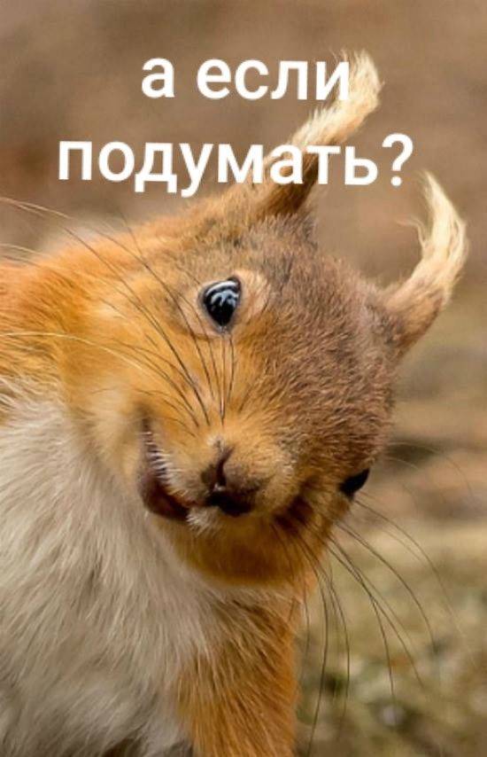 Картинка загружается...