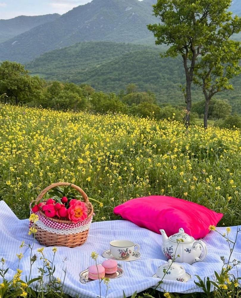 Картинка загружается...
