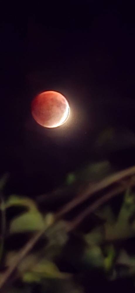 Картинка загружается...