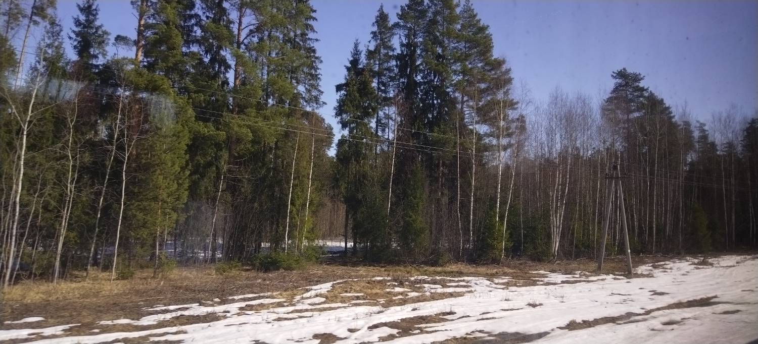 Картинка загружается...