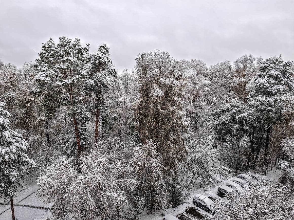 Картинка загружается...