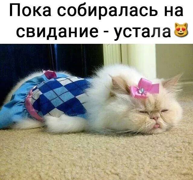 Картинка загружается...