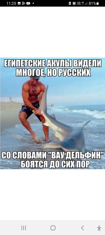 Картинка загружается...