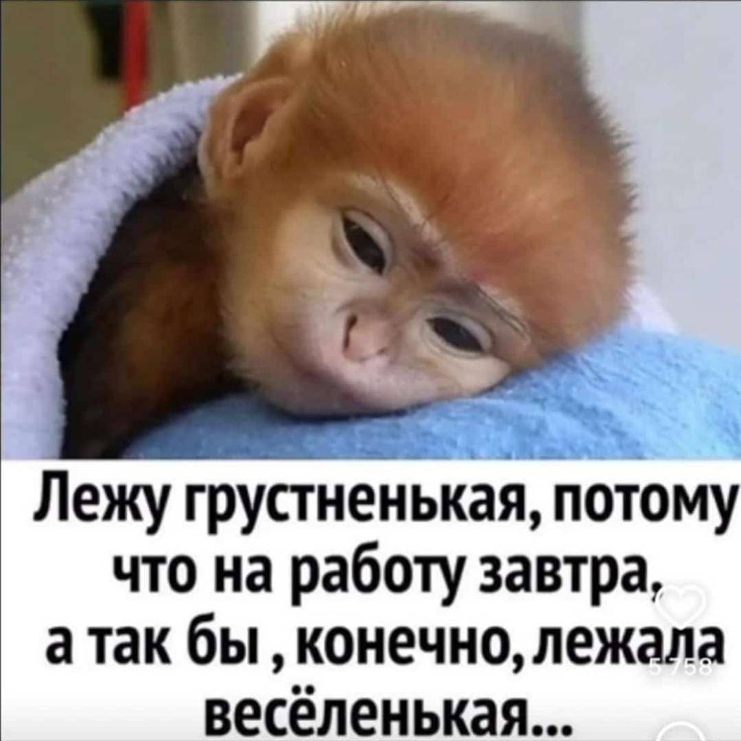 Картинка а завтра на работу