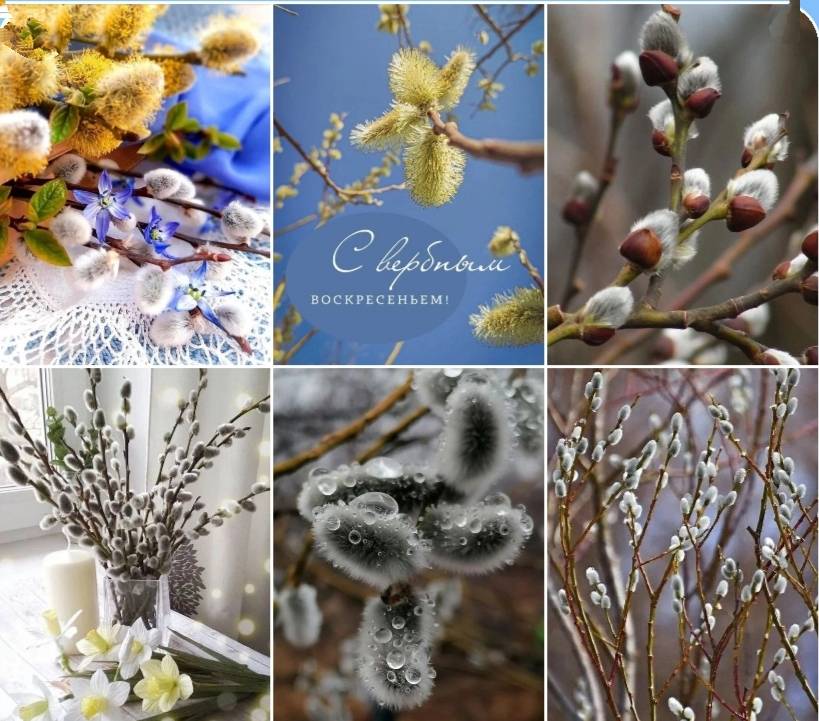 Картинка загружается...