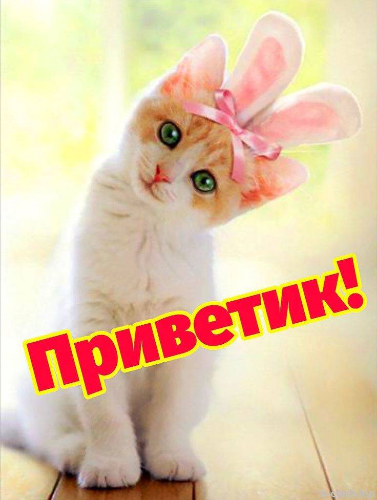 Картинка загружается...