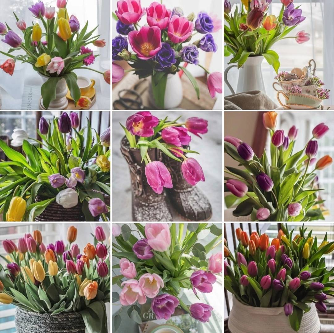 Картинка загружается...