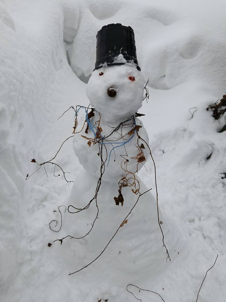 Картинка загружается...