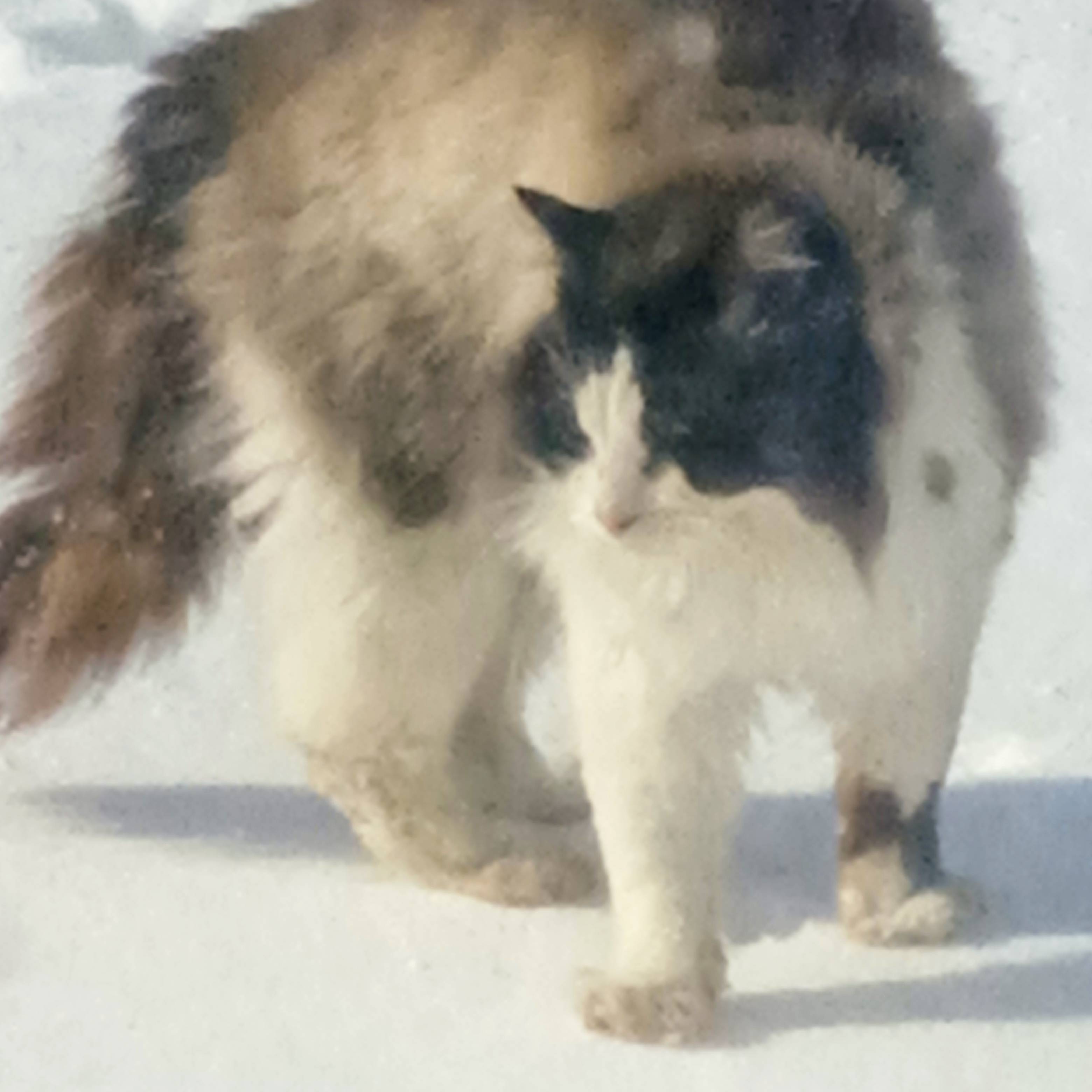 Картинка загружается...