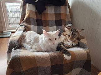 Картинка загружается...