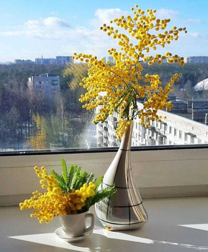 Картинка загружается...