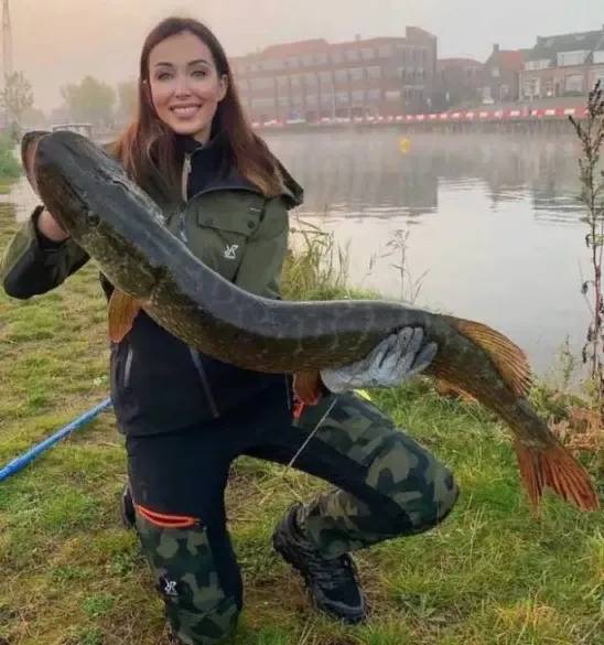 Картинка загружается...