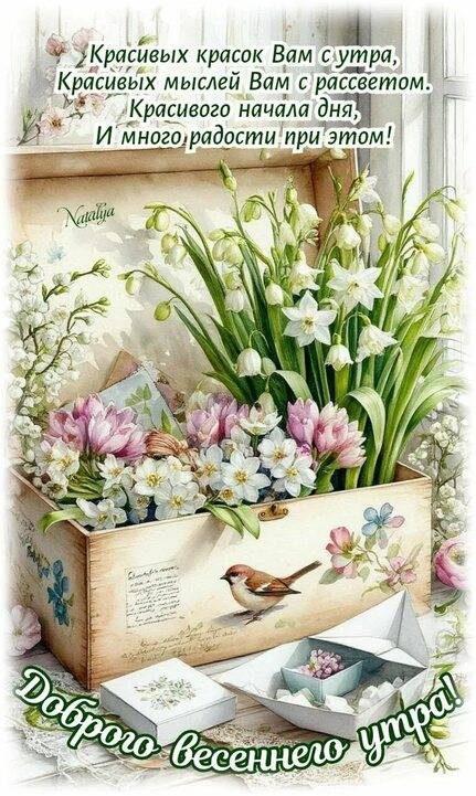 Картинка загружается...