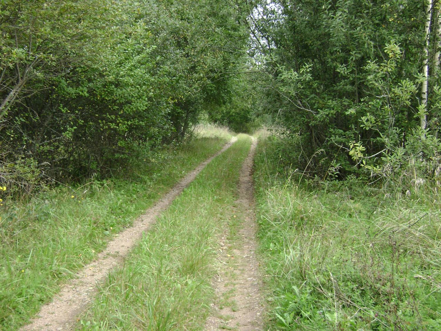 Картинка загружается...