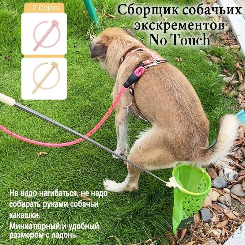 Картинка загружается...