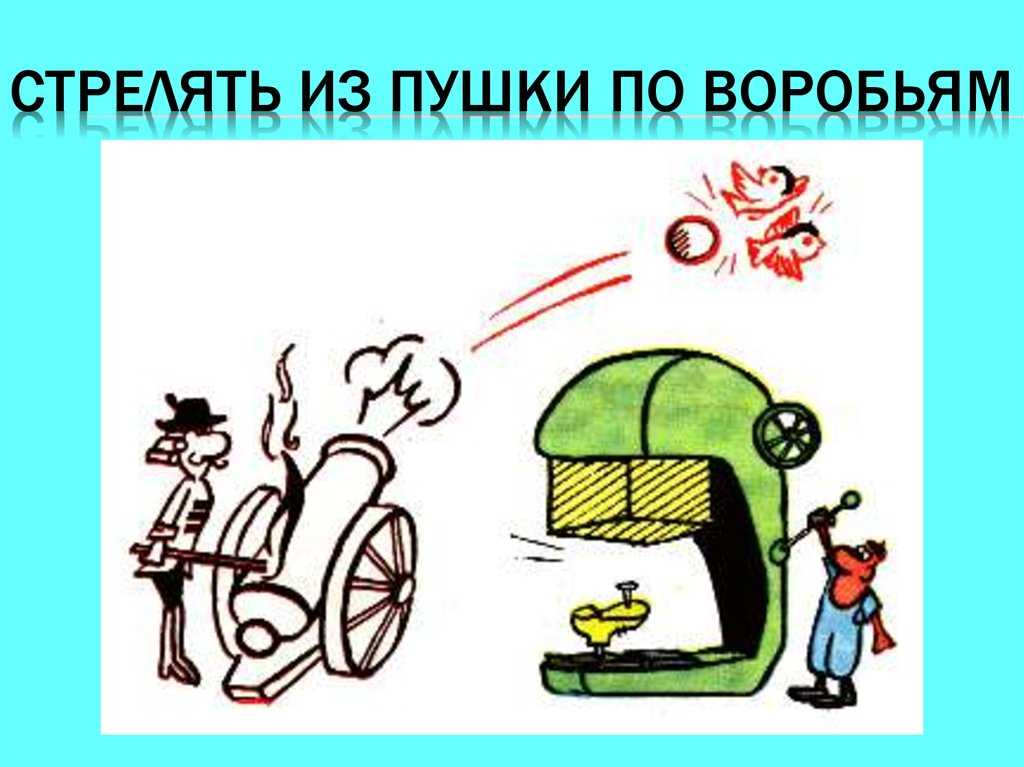 Не стреляй в воробьев. Из пушки по воробьям. Стрелять из пушки по по воробьям. Фразеологизм стрелять из пушки. Фразеологизмы в картинках.