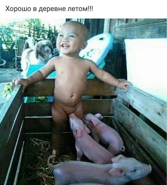 Картинка загружается...