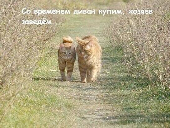 Картинка загружается...