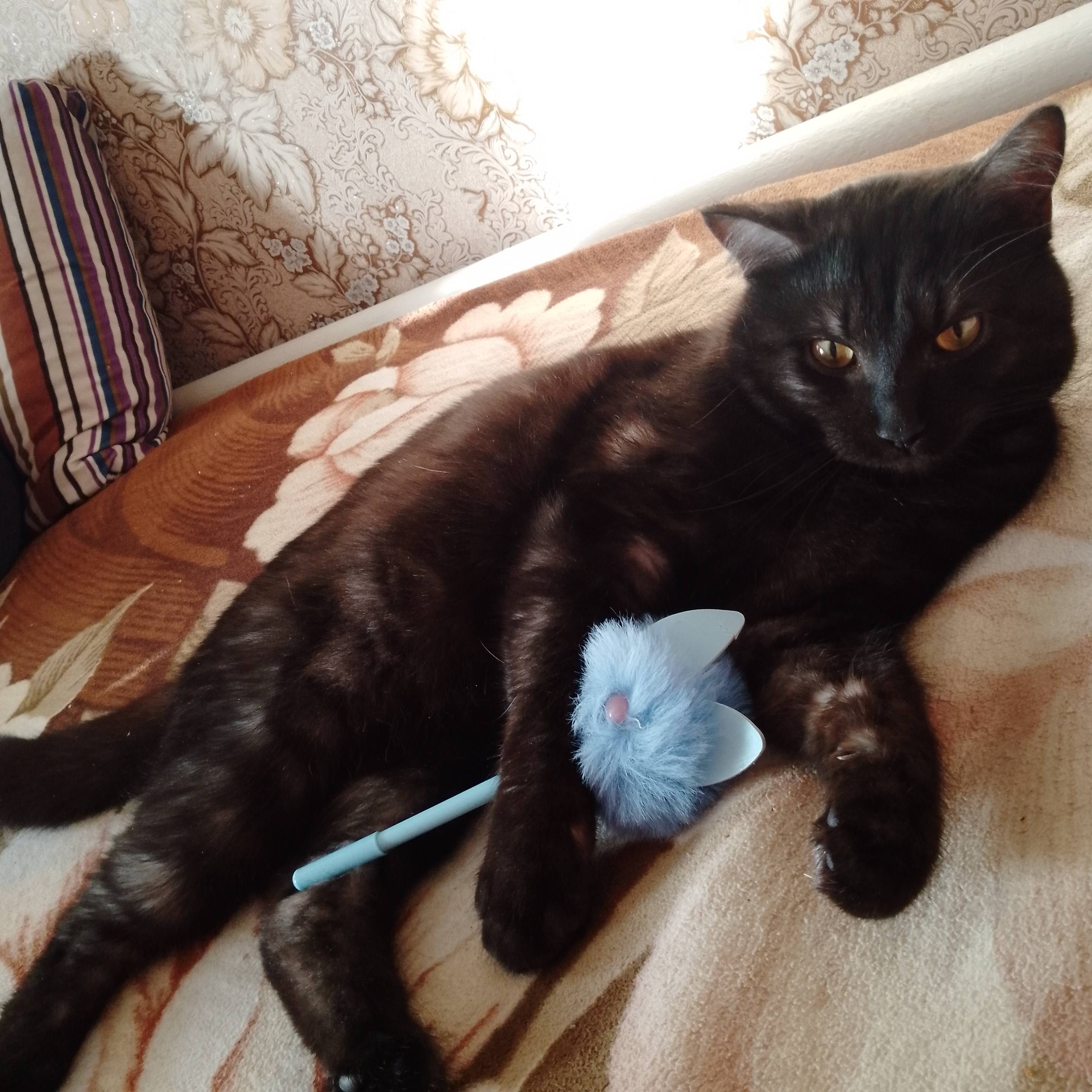 Картинка загружается...