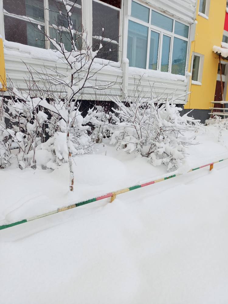 Картинка загружается...