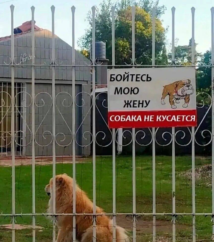 Картинка загружается...