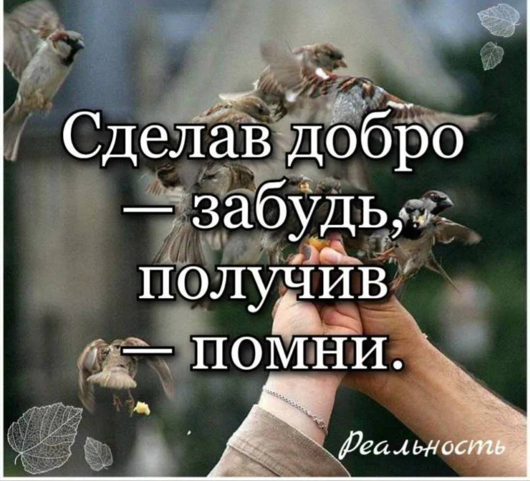 Картинка загружается...