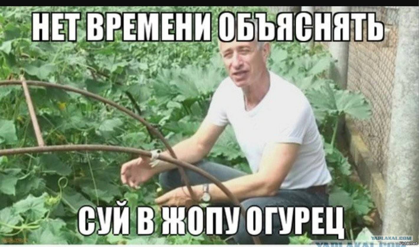 Картинка загружается...