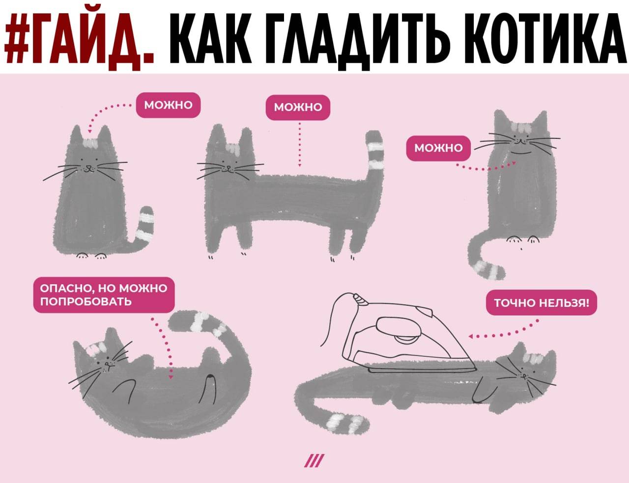 Где можно гладить кота картинка