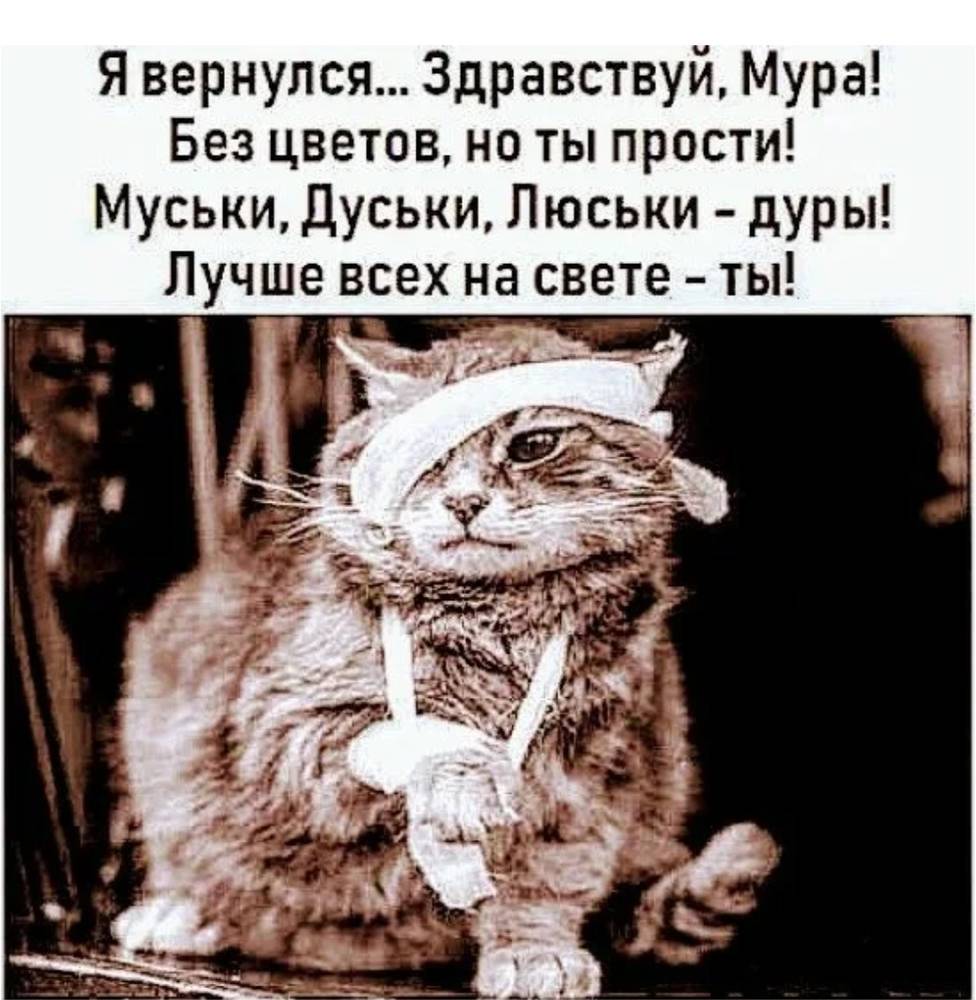 Картинка загружается...