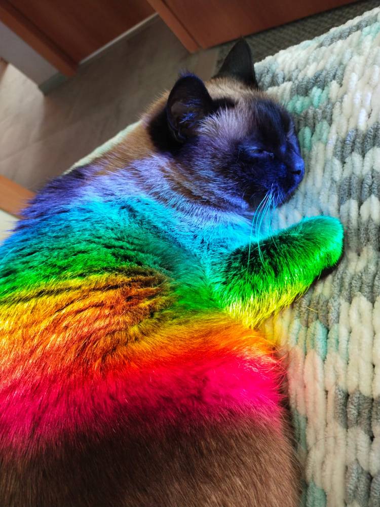 Картинка загружается...