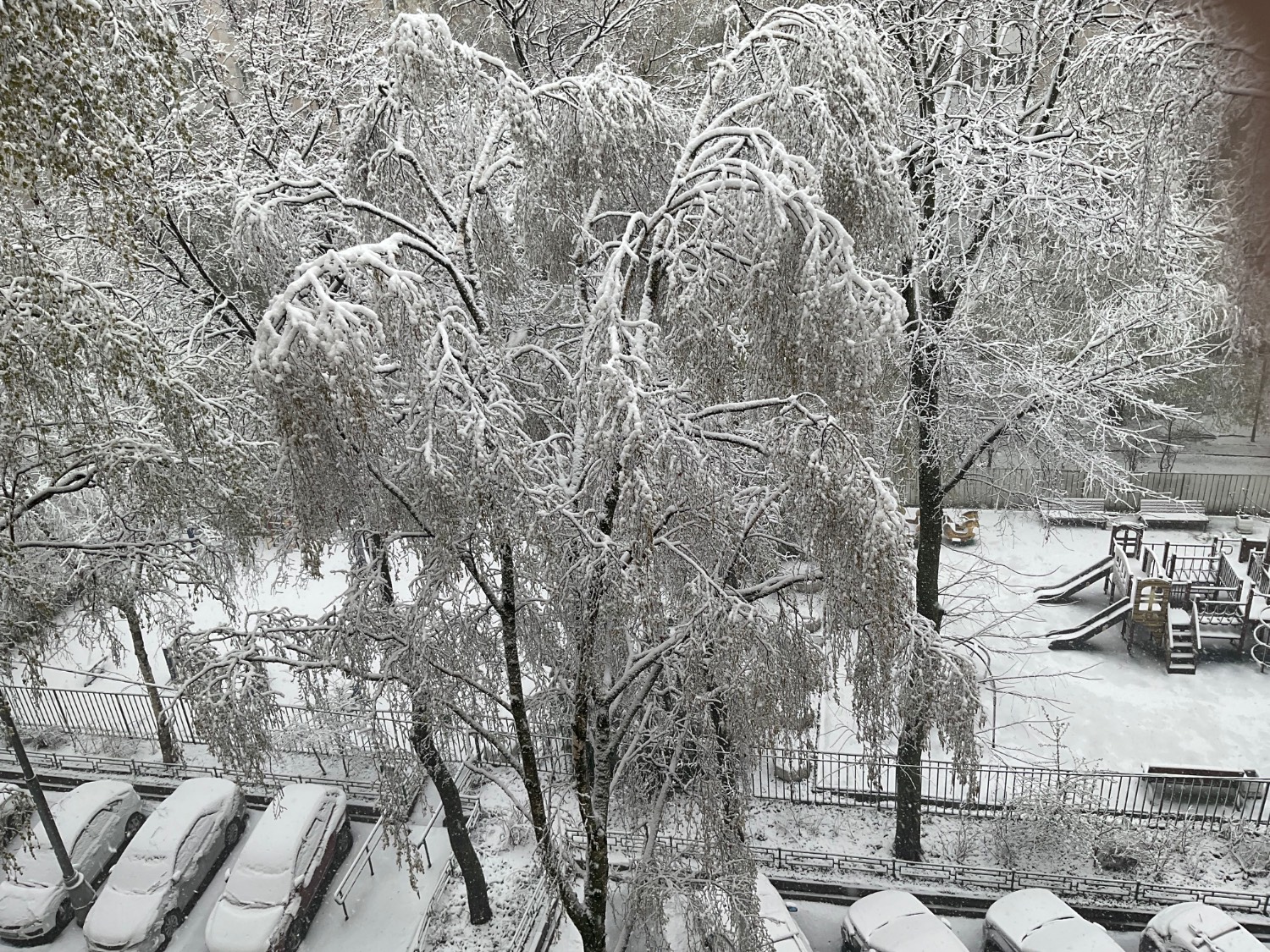 Картинка загружается...