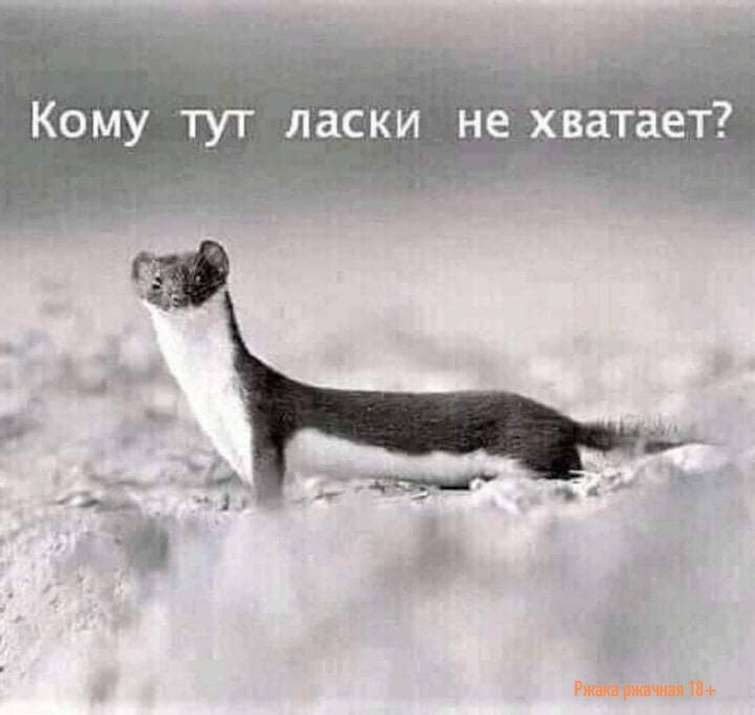 Картинка загружается...