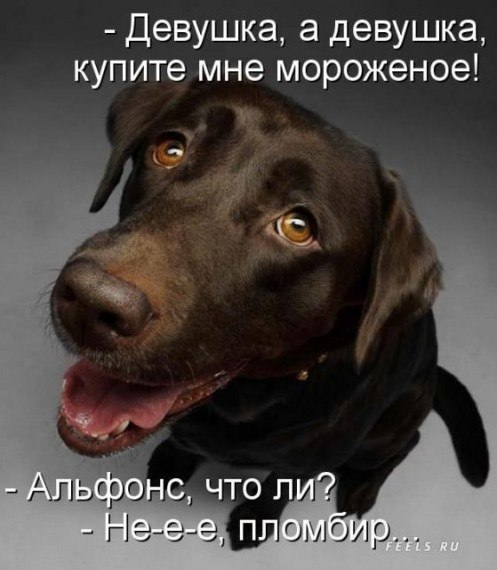Картинка загружается...