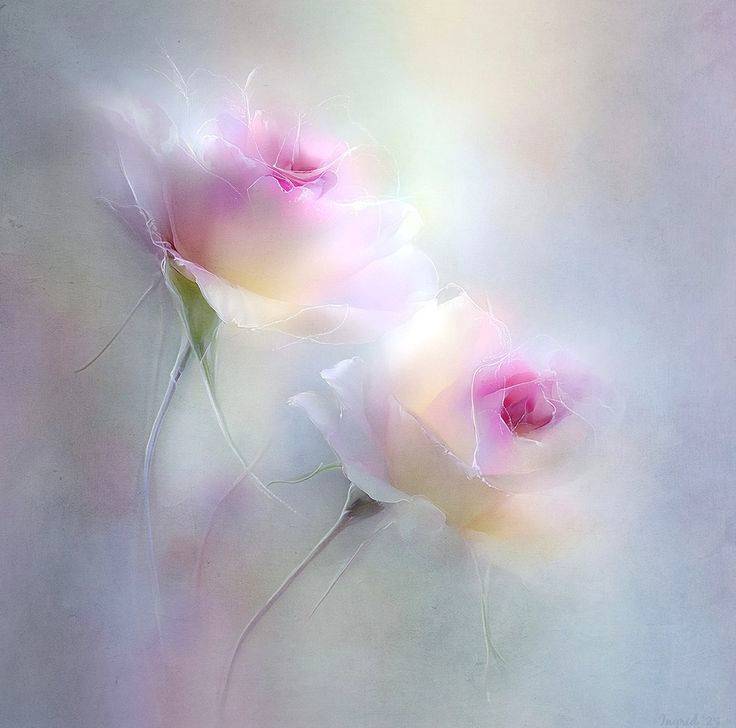 Картинка загружается...