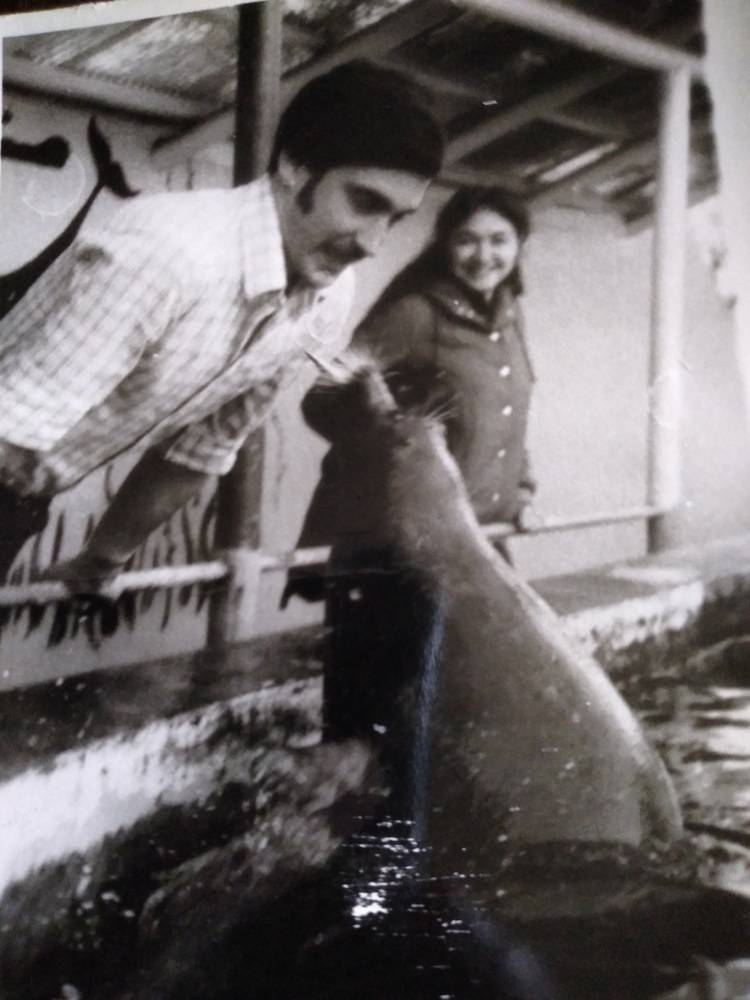 Картинка загружается...