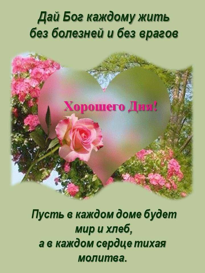 Картинка загружается...