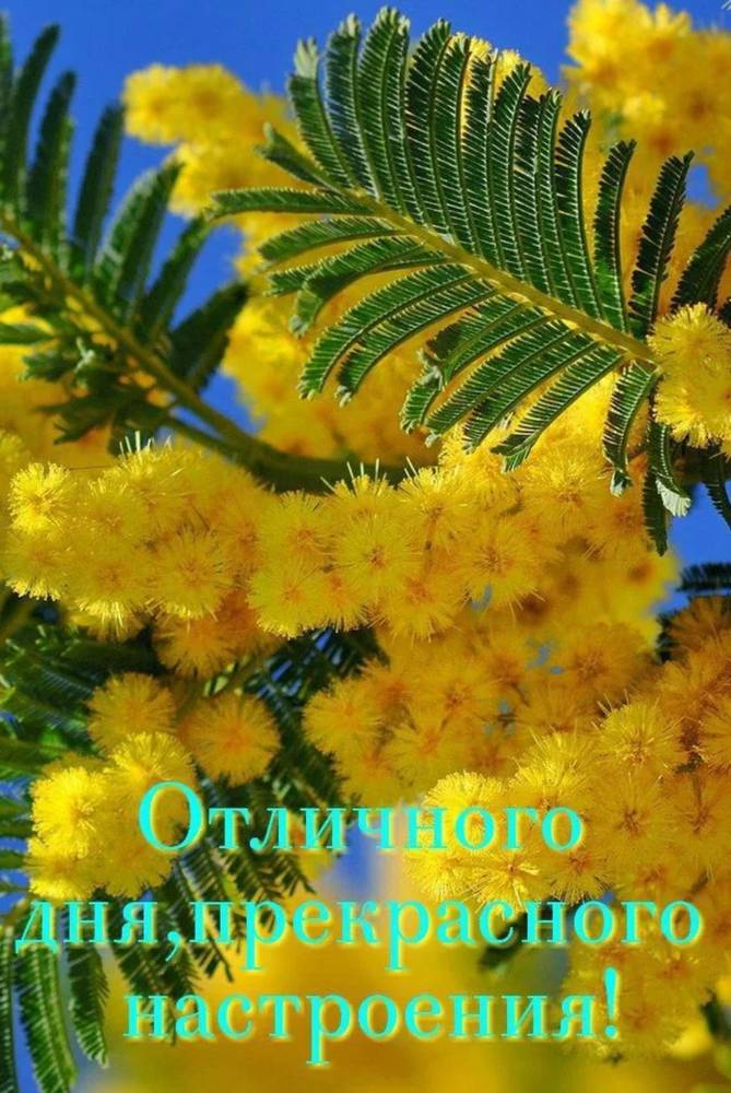 Картинка загружается...