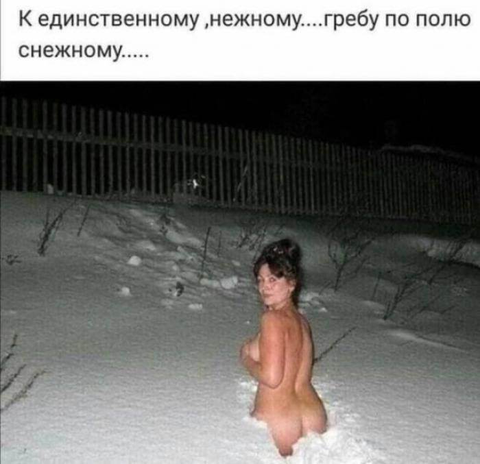 Картинка загружается...