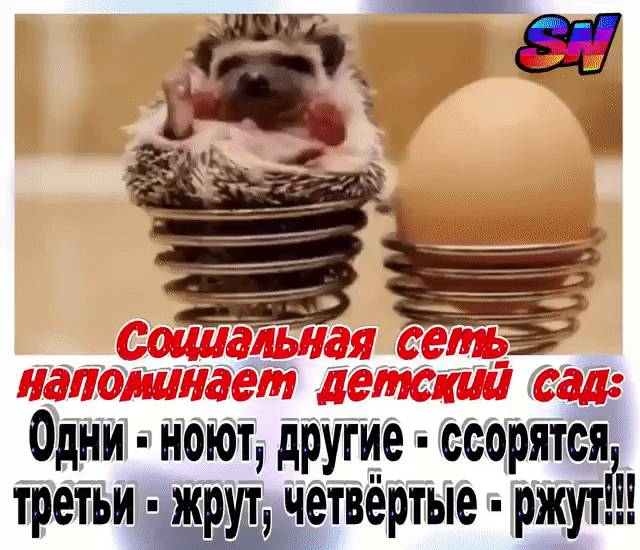 Картинка загружается...