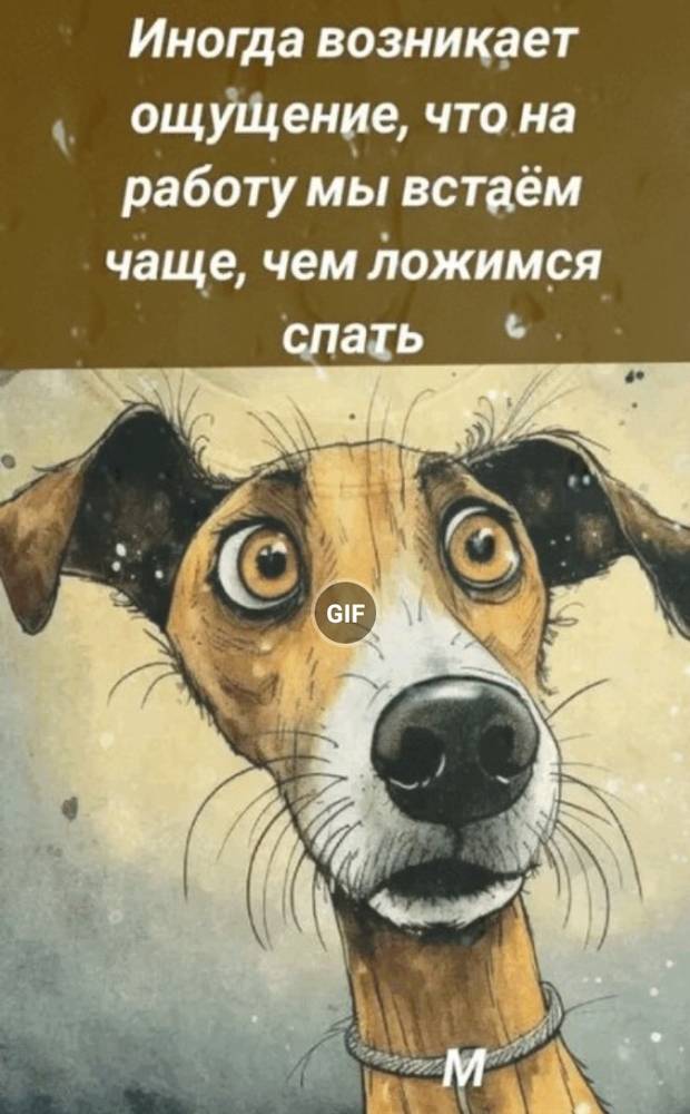 Картинка загружается...