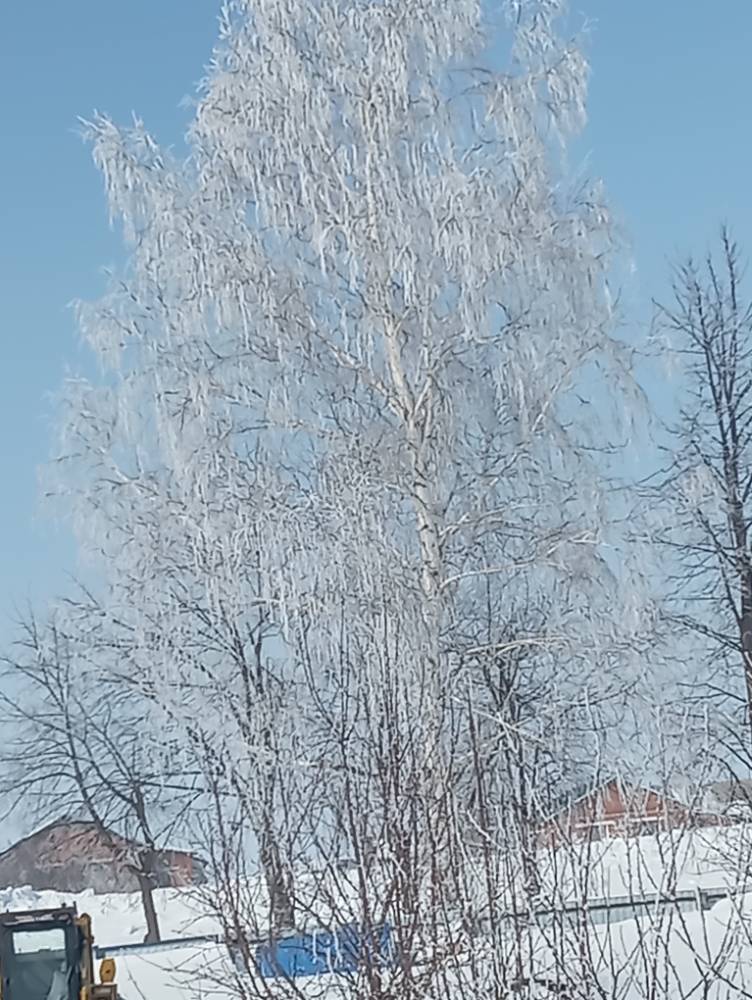 Картинка загружается...